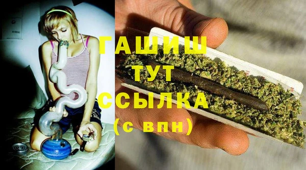мет Гусев