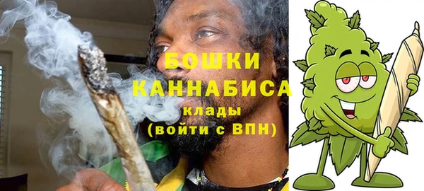 spice Гусь-Хрустальный