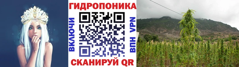 Конопля Ganja Купить где Злынка